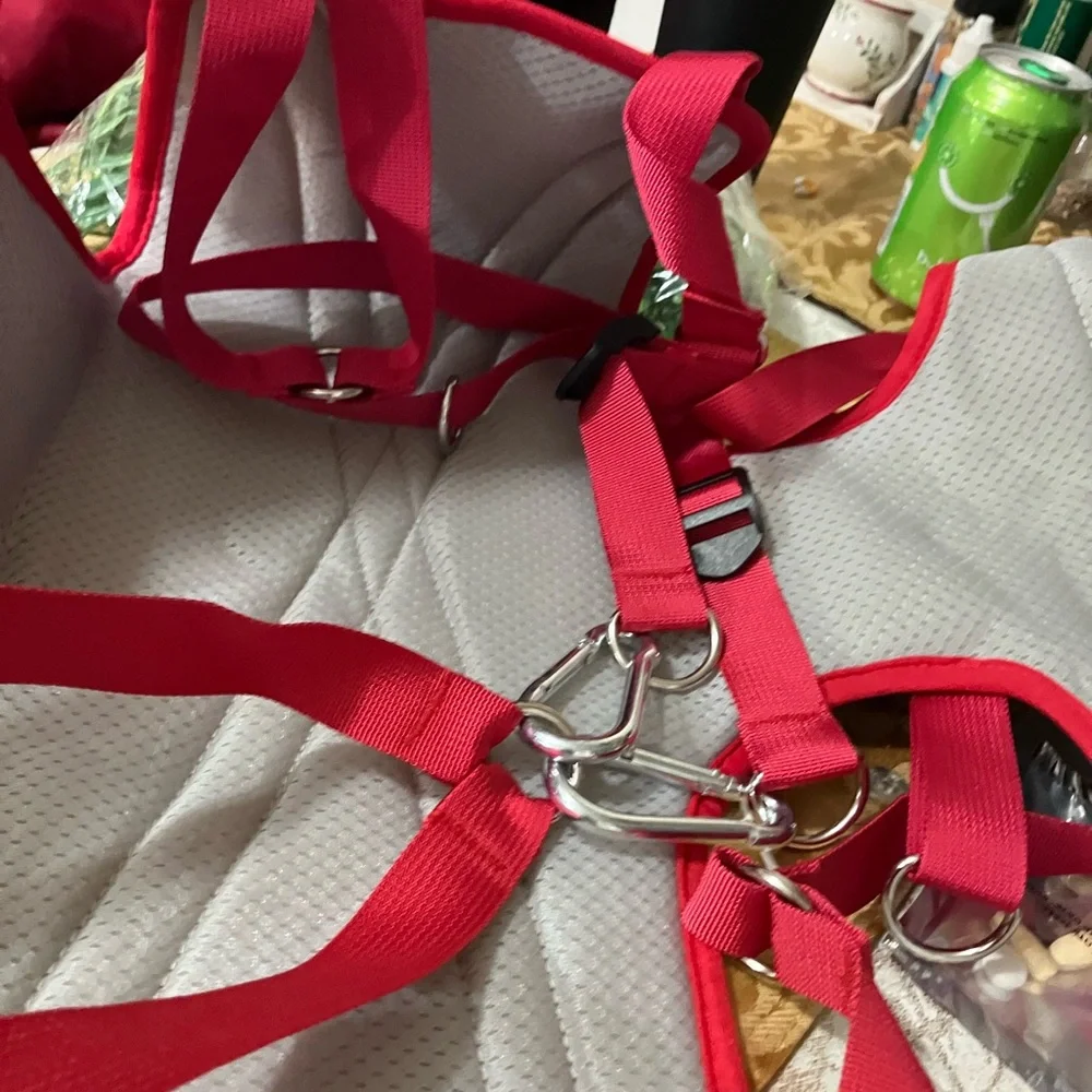 dog grooming kit